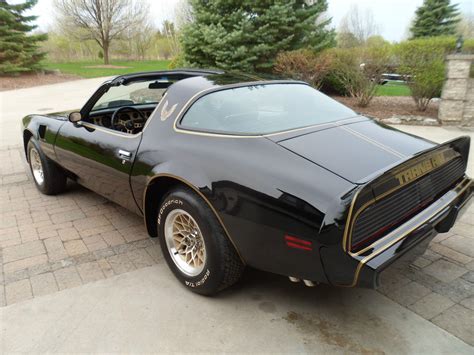 1979 trans am special edition